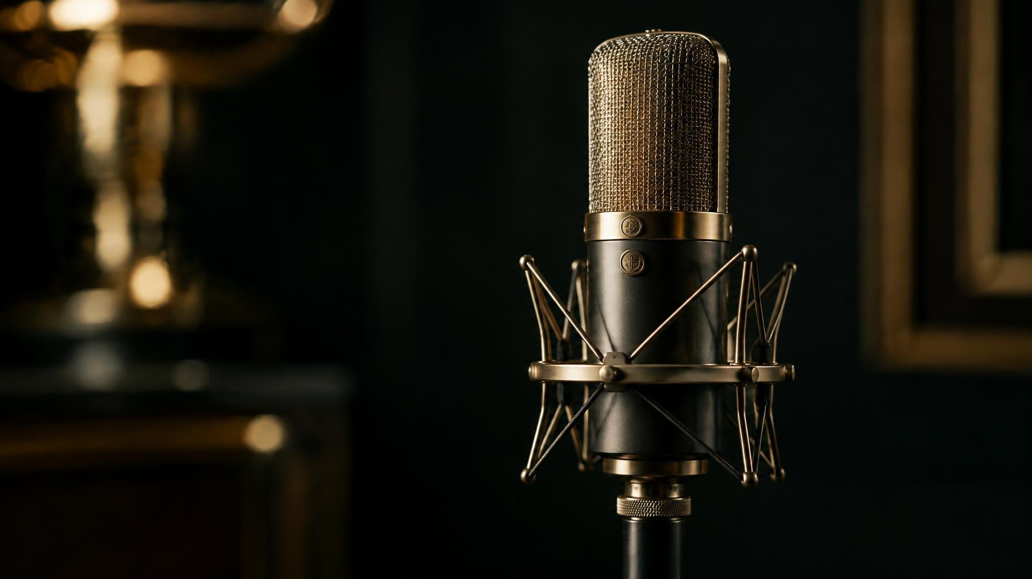 Detail of a studio microphone in soft directional light